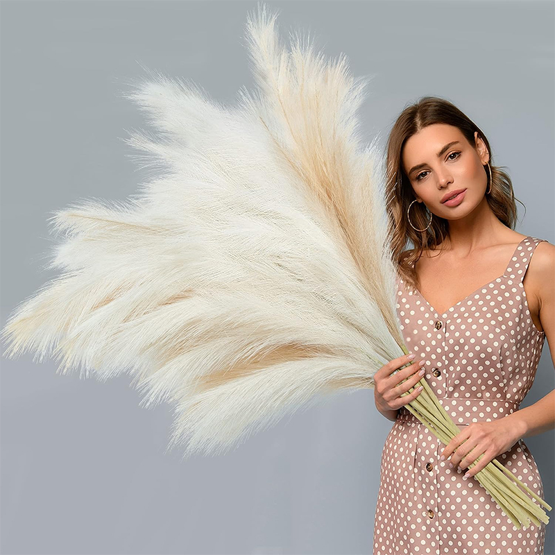 Pampas Grass Decor - 90/120 ซม.1 ชิ้น Fluffy Pampas Grass