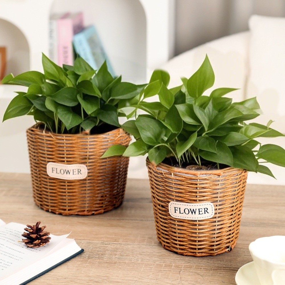 ตะกร้าหวายเทียมสำหรับตกแต่งโต๊ - Rattan Plant Basket บทวิจารณ์และราคา