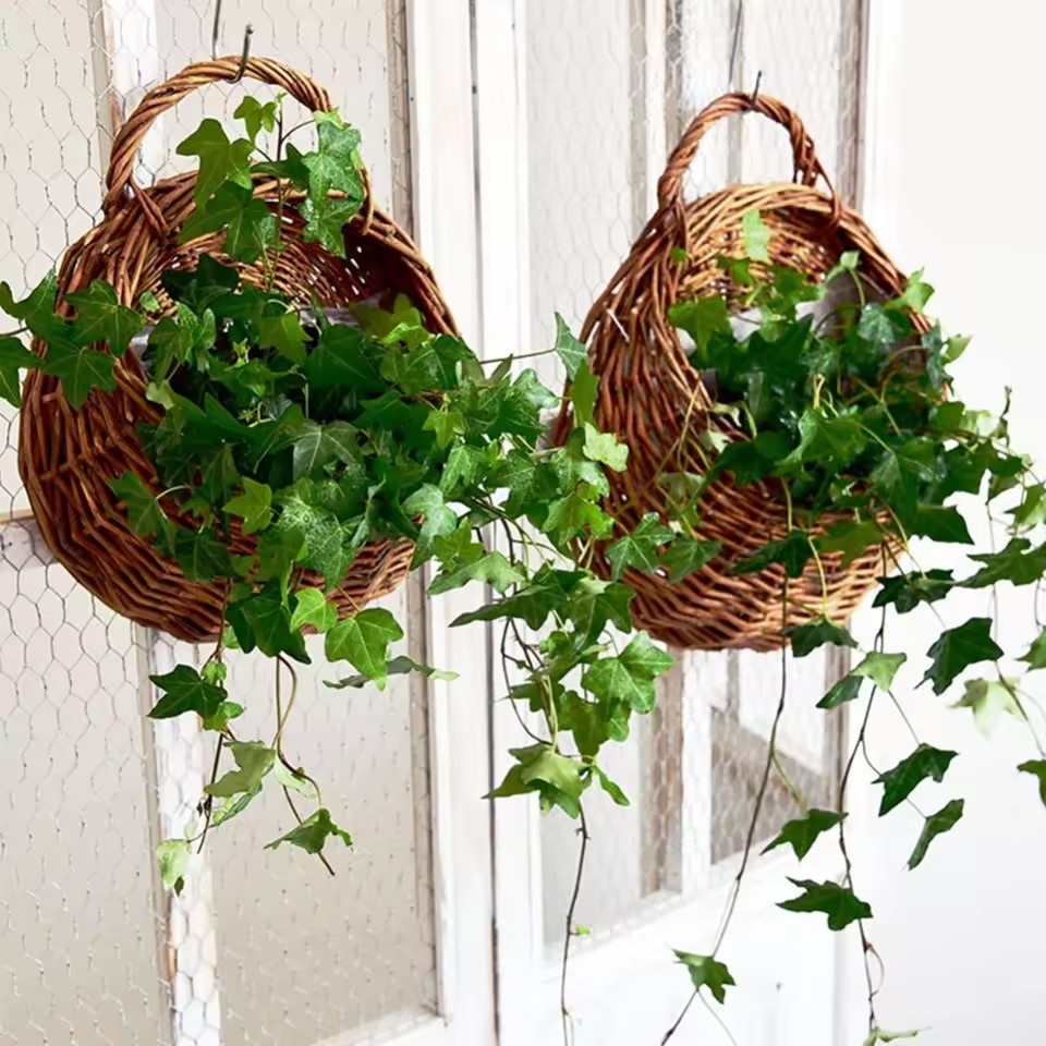 Hand Made หวายหวายดอกไม้แขวนผน - Rattan Plant Basket บทวิจารณ์และราคา