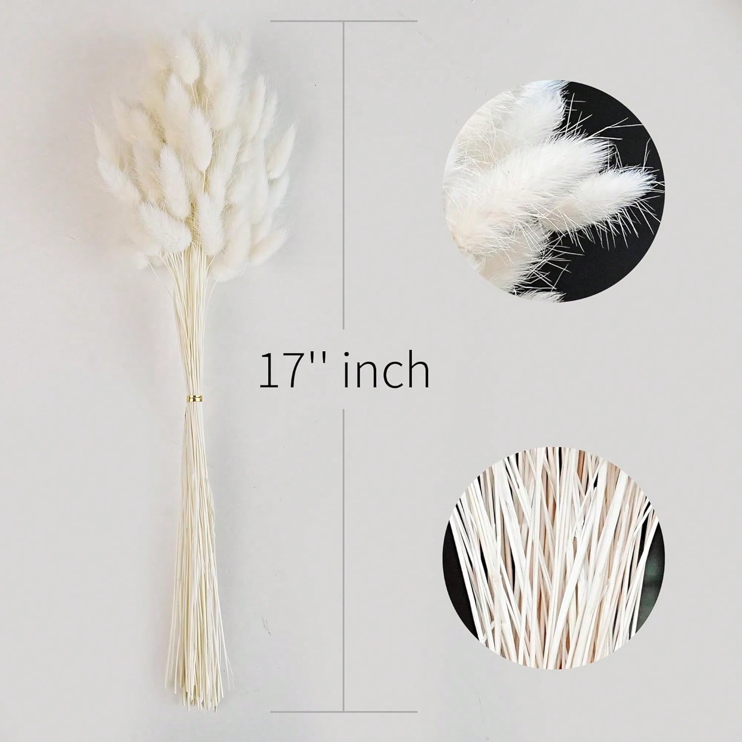120 PCS แห้ง Pampas Grass Deco - Pampas Grass Decor บทวิจารณ์และราคา